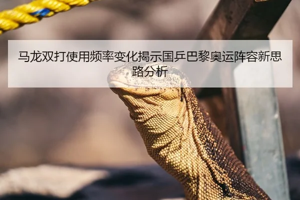 马龙双打使用频率变化揭示国乒巴黎奥运阵容新思路分析