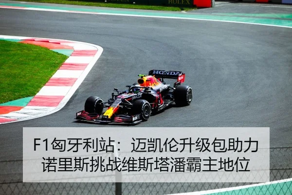 F1匈牙利站：迈凯伦升级包助力诺里斯挑战维斯塔潘霸主地位