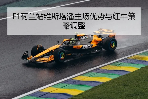 he-lan-zhan-wei-si-ta-pan-zhu-chang-you-shi-yu-hong-niu-ce-lve-tiao-zheng-3-863.jpg