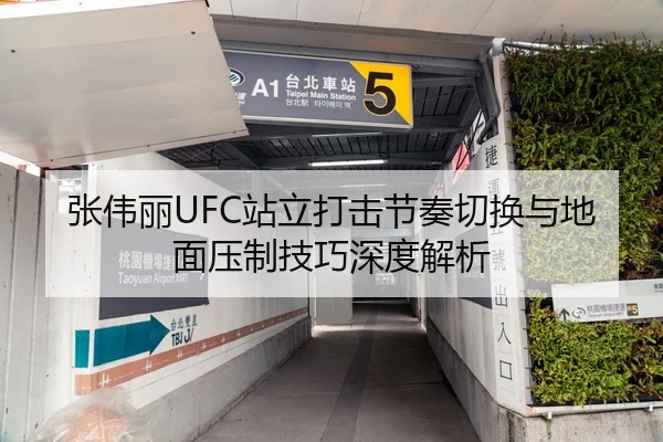 张伟丽UFC站立打击节奏切换与地面压制技巧深度解析