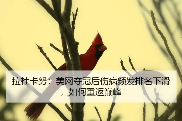 拉杜卡努：美网夺冠后伤病频发排名下滑，如何重返巅峰