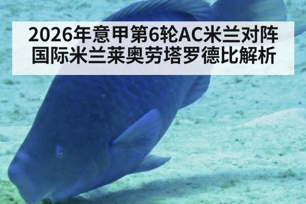 2026年意甲第6轮AC米兰对阵国际米兰莱奥劳塔罗德比解析
